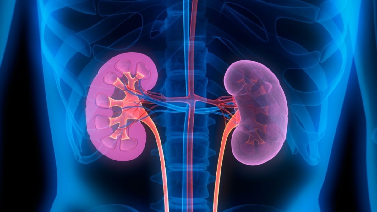 কিডনি রোগের লক্ষণ এবং প্রতিকার
